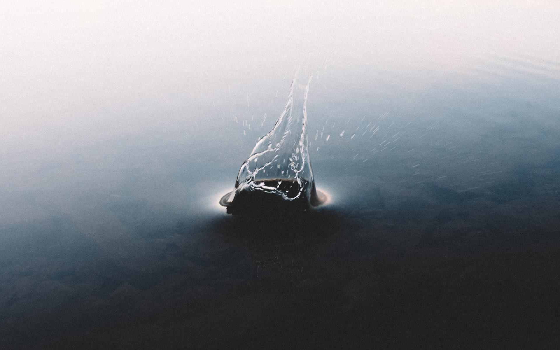 フォトギャラリー